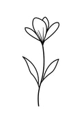 Florecer — Line Art